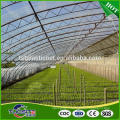 China manufactory direct sale greenhouse pe film tarpaulin